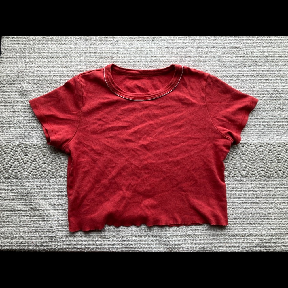 Brandy Melville Crop Top